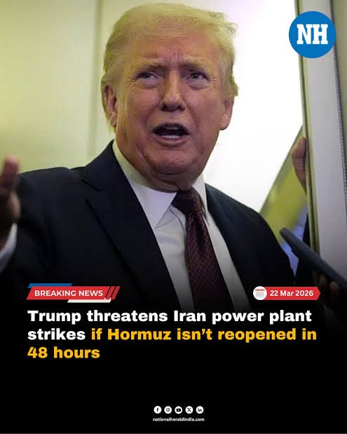 Nat & Ver tweet media