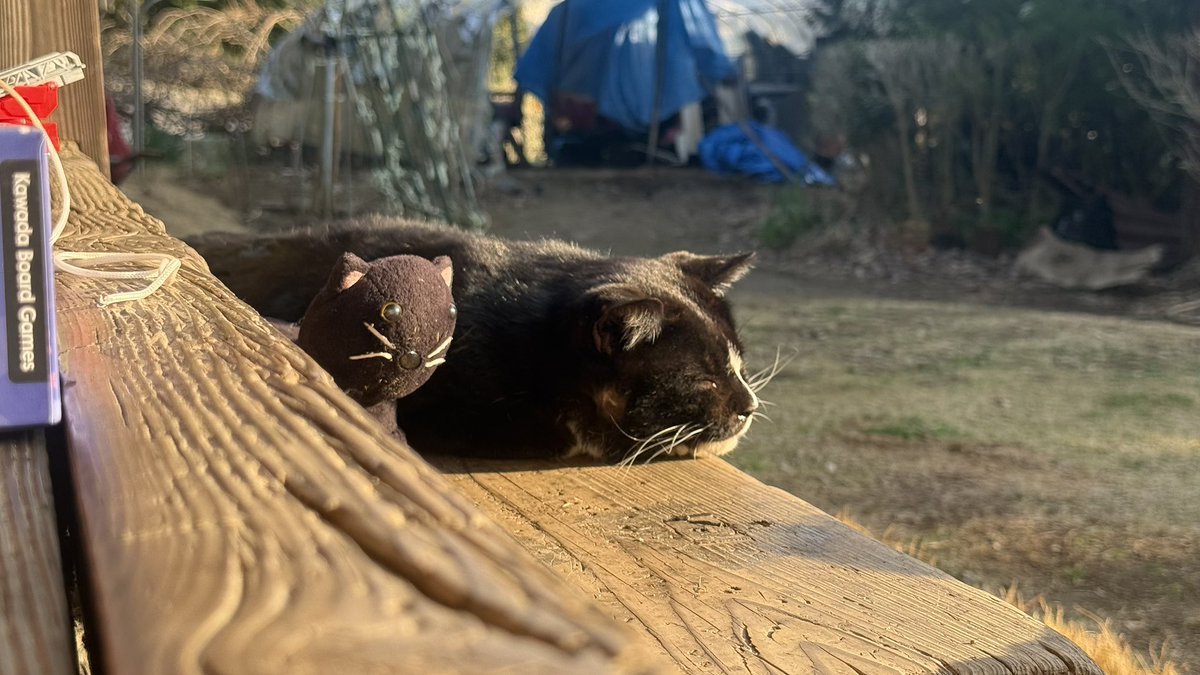 白蛇o🐍(しろへび) tweet media