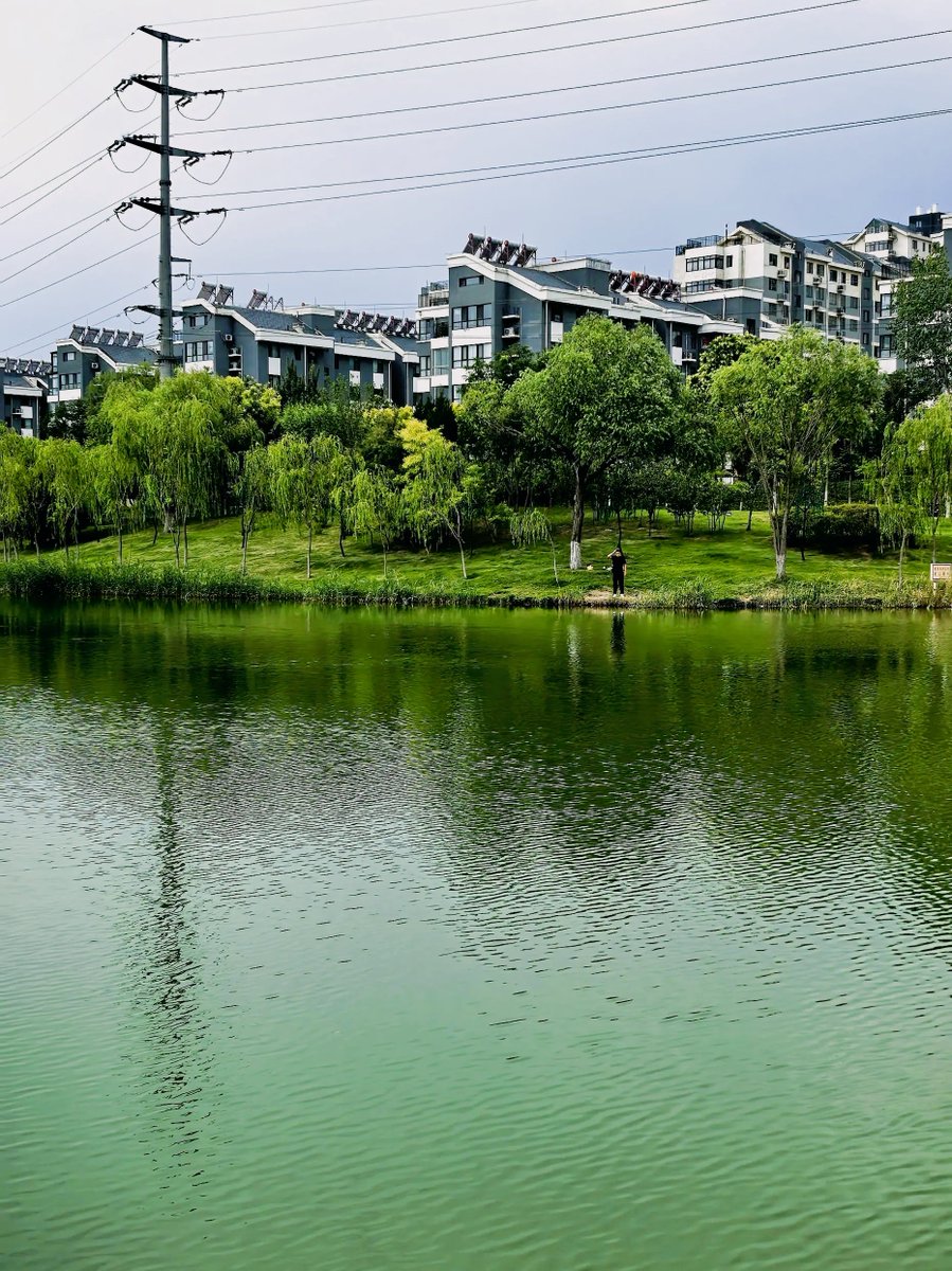 Bullshit tweet media