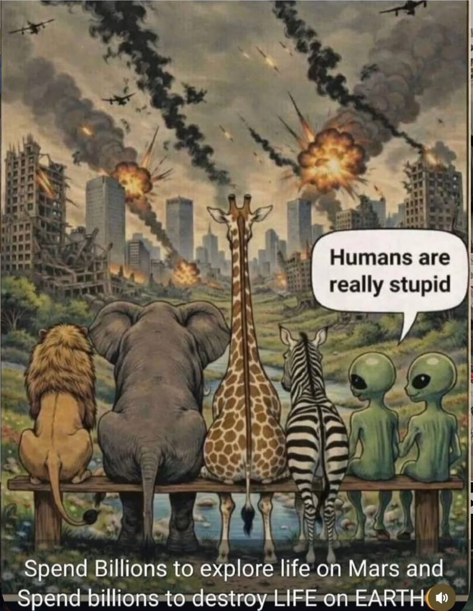 Trivedi krupali tweet media