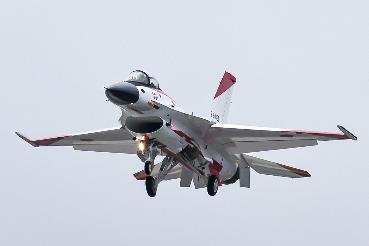 フーさん@写真垢✈️🦅🐬🐯 tweet media