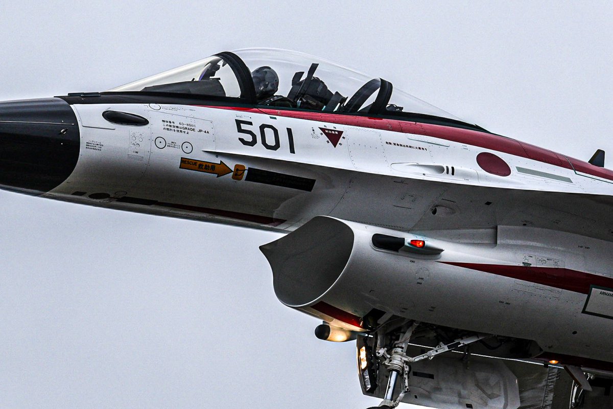 フーさん@写真垢✈️🦅🐬🐯 tweet media