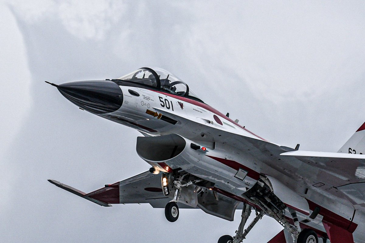 フーさん@写真垢✈️🦅🐬🐯 tweet media