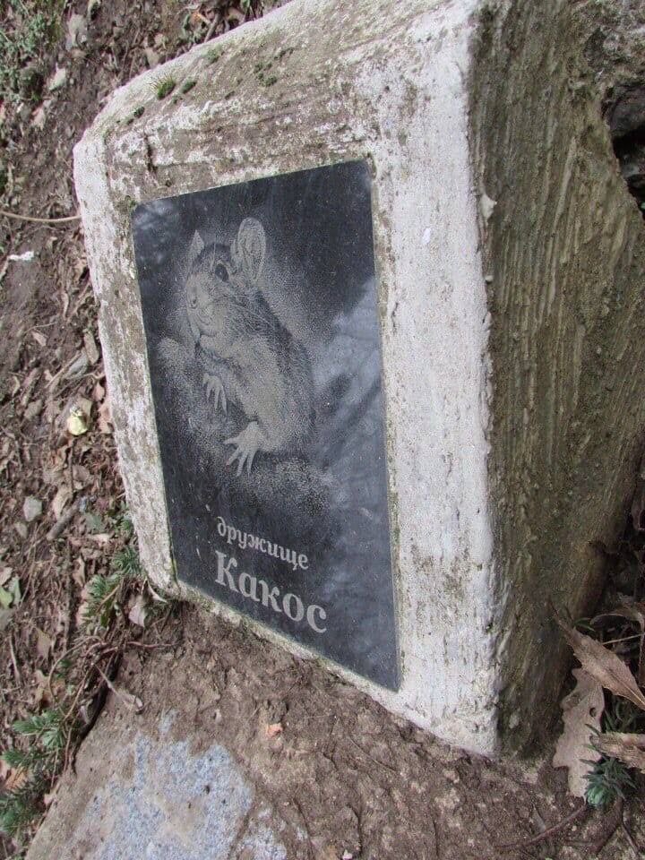 唯我独尊・宮内蛍 tweet media