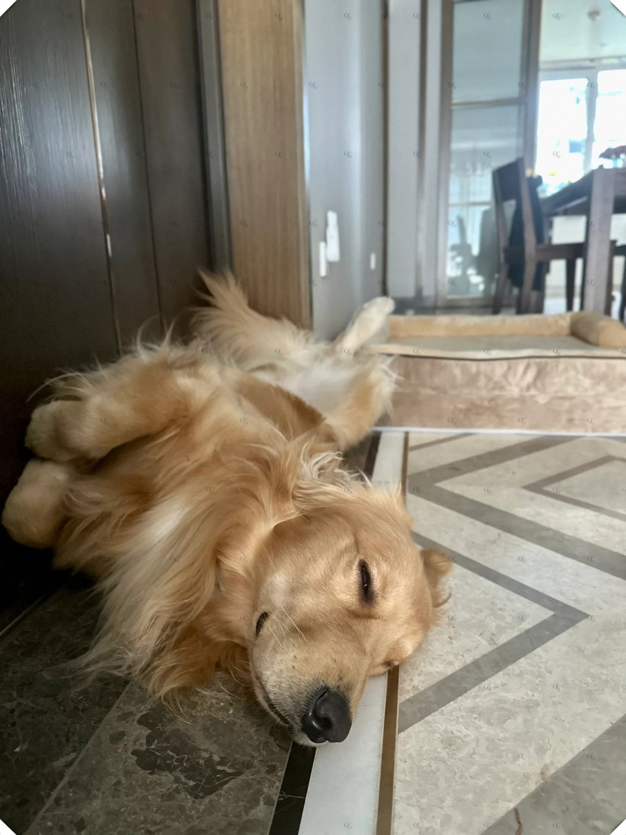 Lela Fik tweet media