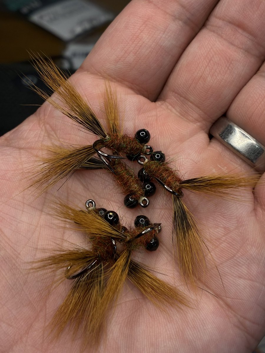 Flies By Spencer tweet media