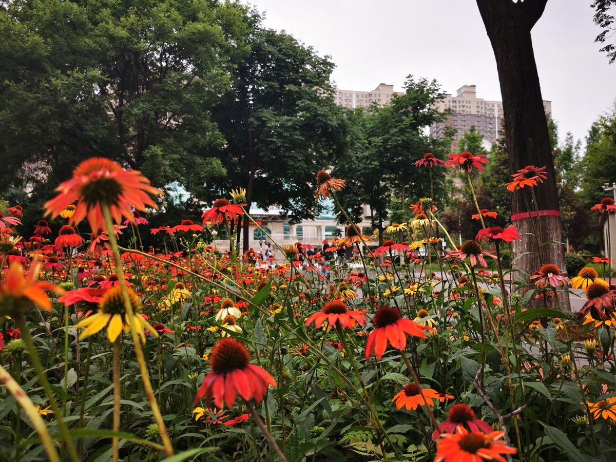 Cari Lambrecht tweet media