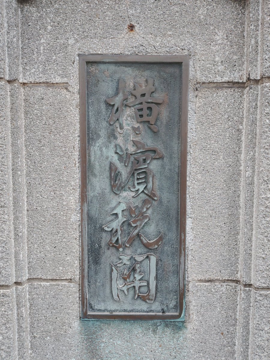 うずらの飼い主。 tweet media