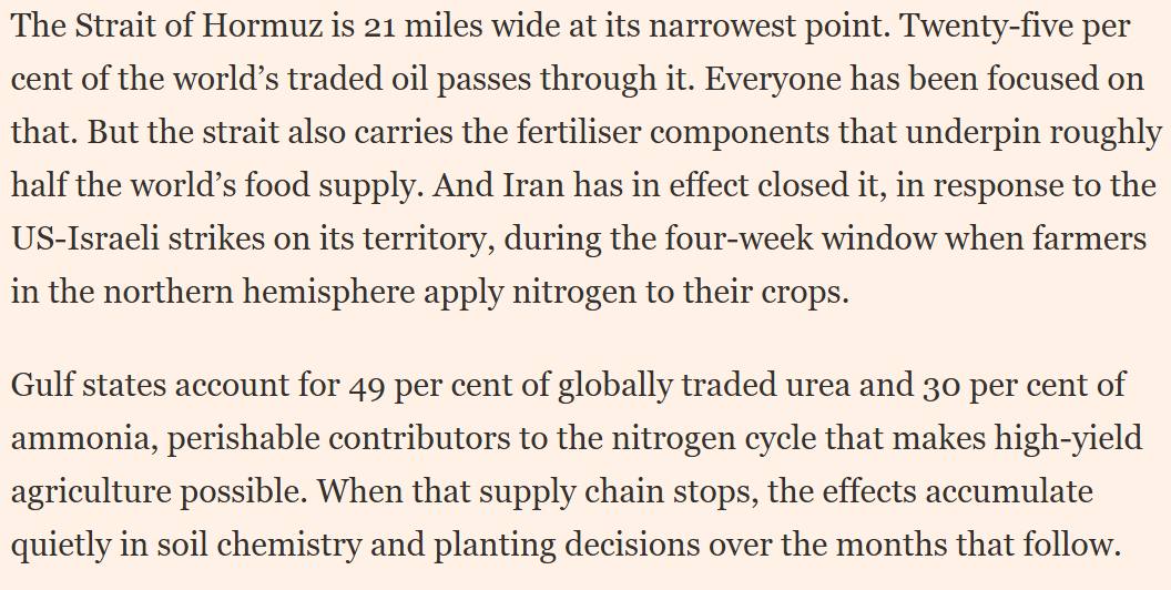 Brainless Partisans 🏴‍☠️☢️☣️🪆 tweet media
