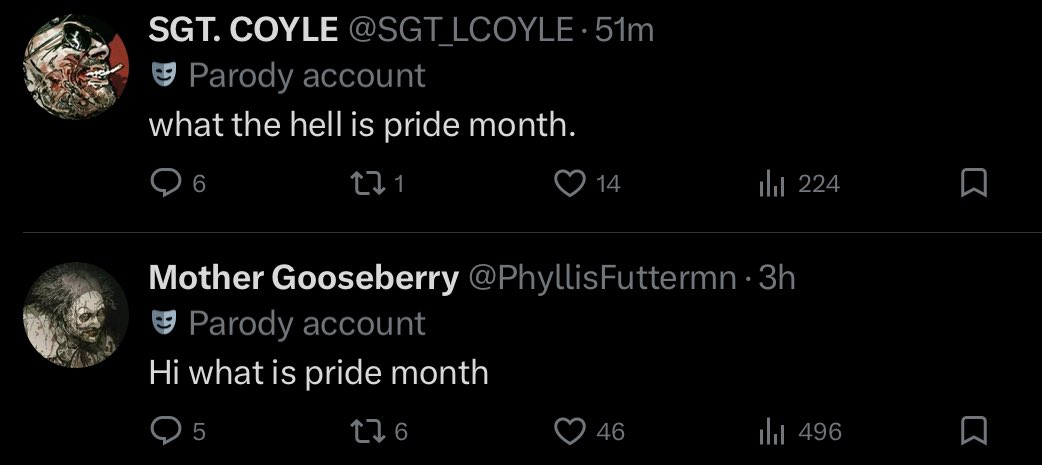 Tiny 🐦‍⬛ tweet media