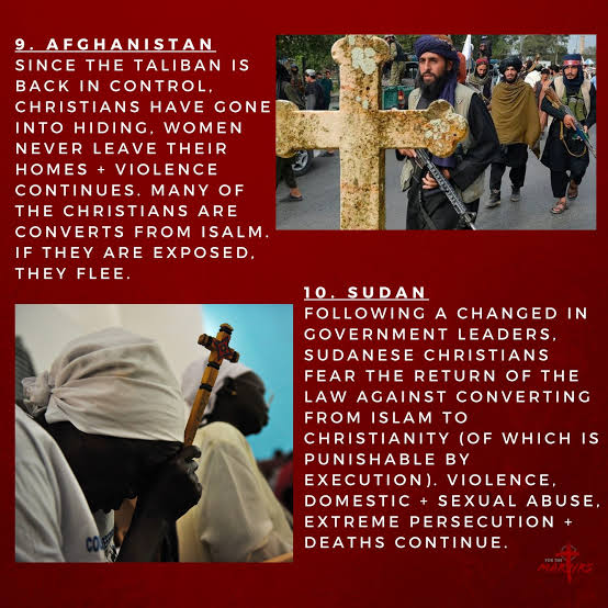 simon v/d iest tweet media