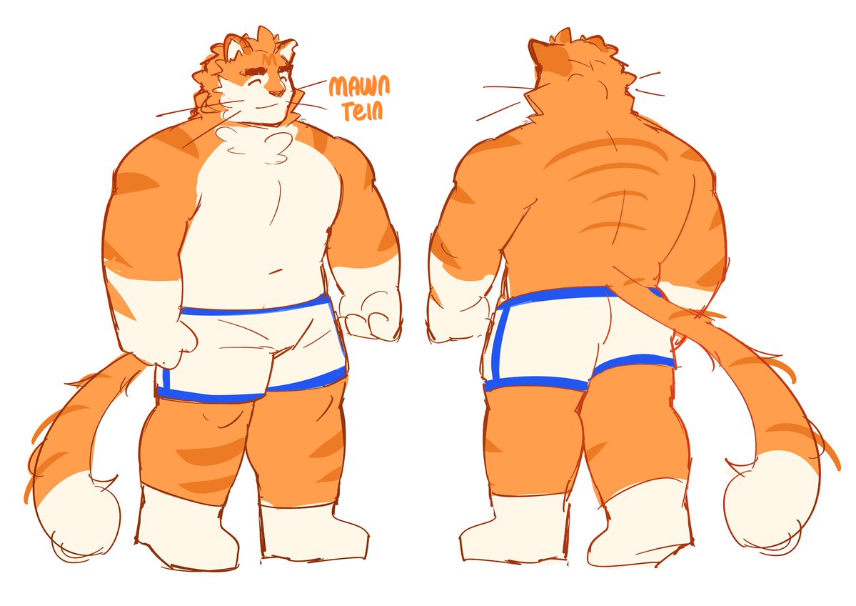 好猫 monty tweet media