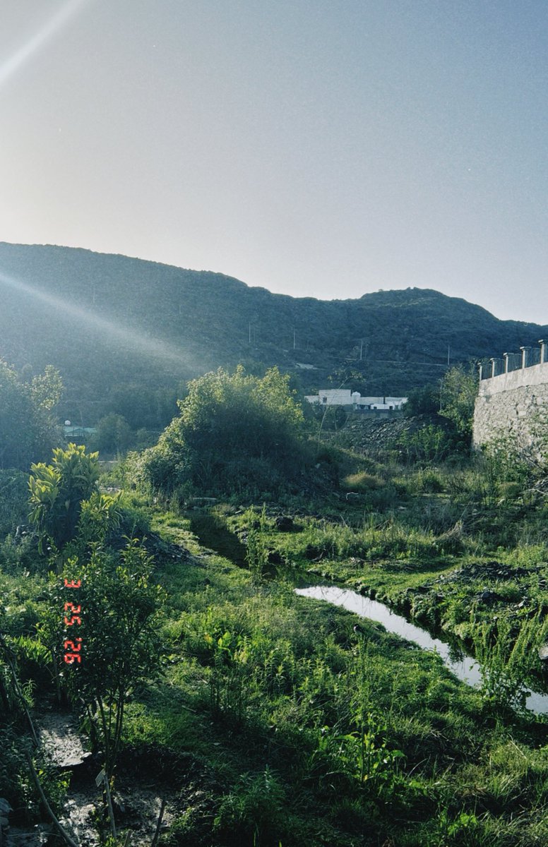 كيان tweet media