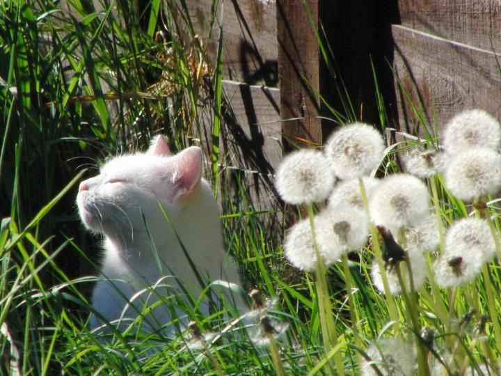 JetLagKitty tweet media