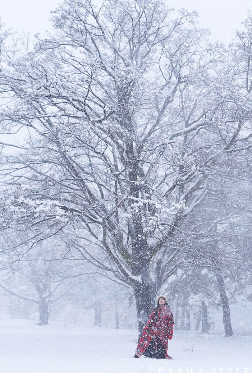 Takechan/Take Sahashi tweet media