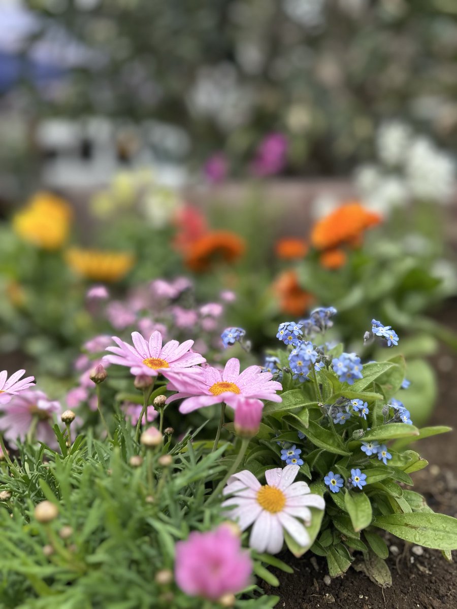 kana-na@かなな工房 tweet media