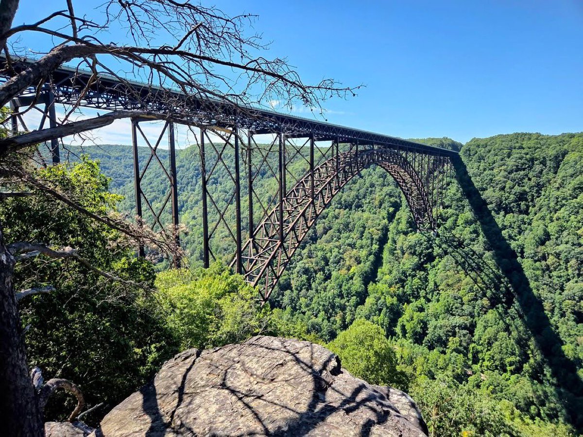 WestVirginia'sBlueRidge tweet media