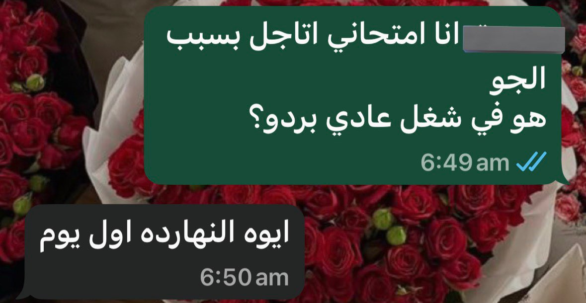 بات مانة🐍 tweet media