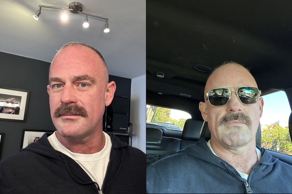 West Bestern 🛡️ tweet media