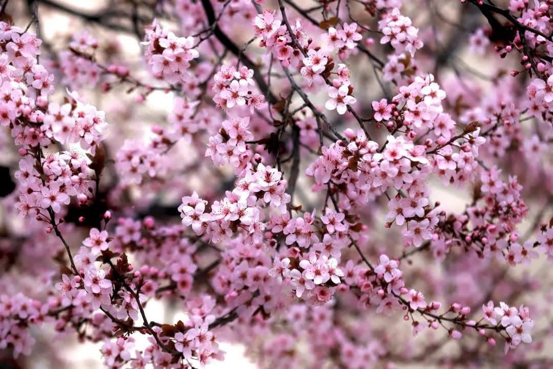 Aksaray Belediyesi 🇹🇷 tweet media