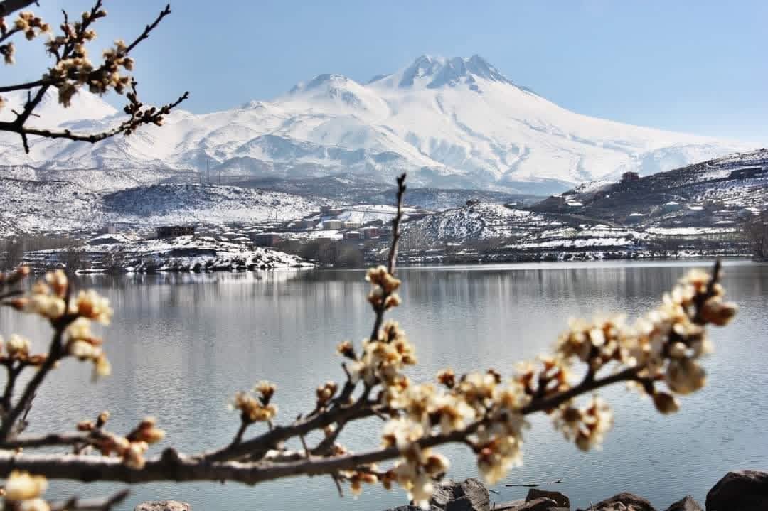Aksaray Belediyesi 🇹🇷 tweet media