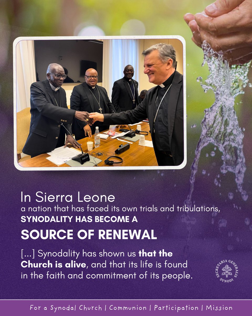 Synod.va tweet media