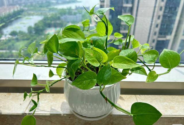 Wayne Rollinson tweet media