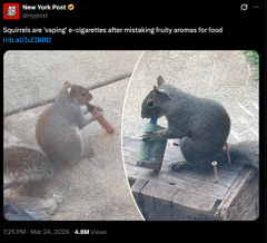 Dale Harris tweet media