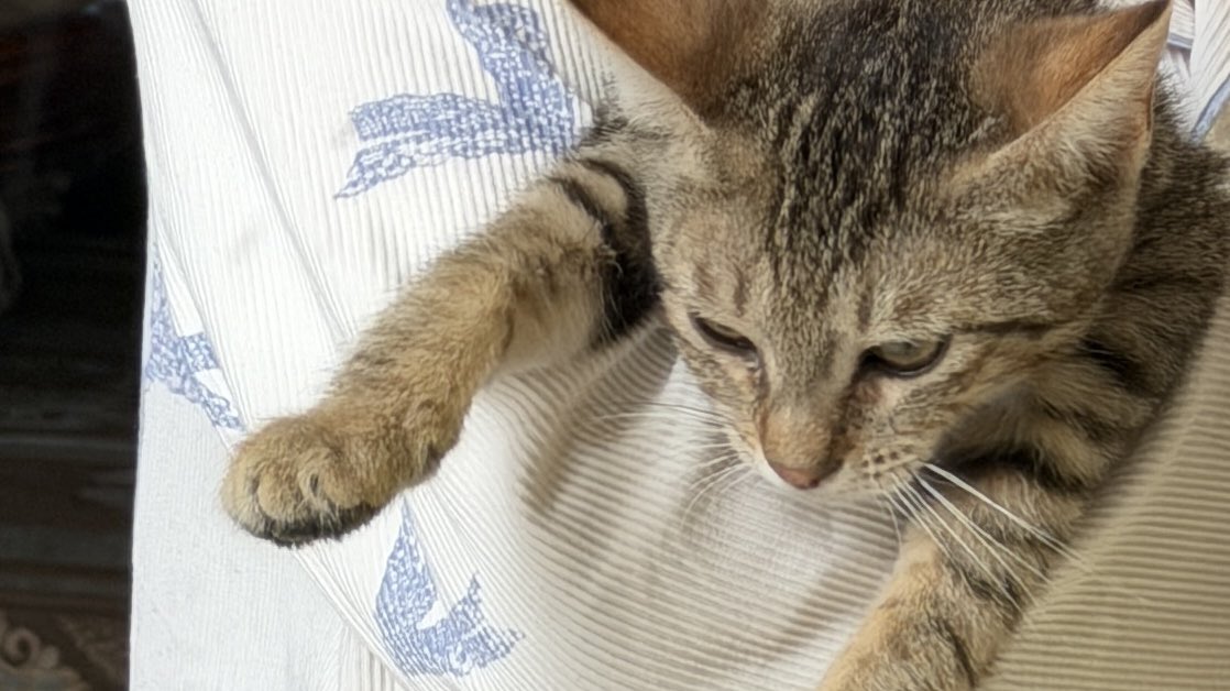 نُور | 👩🏻‍🎓 tweet media