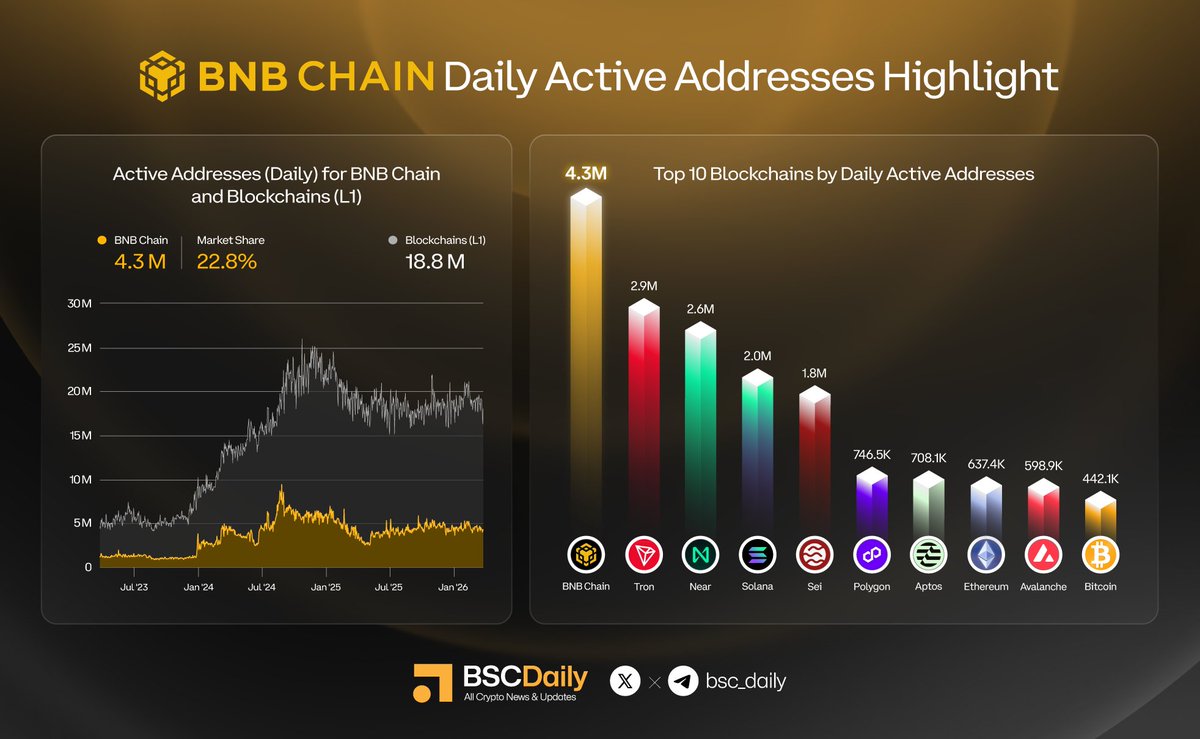 BSCDaily tweet media