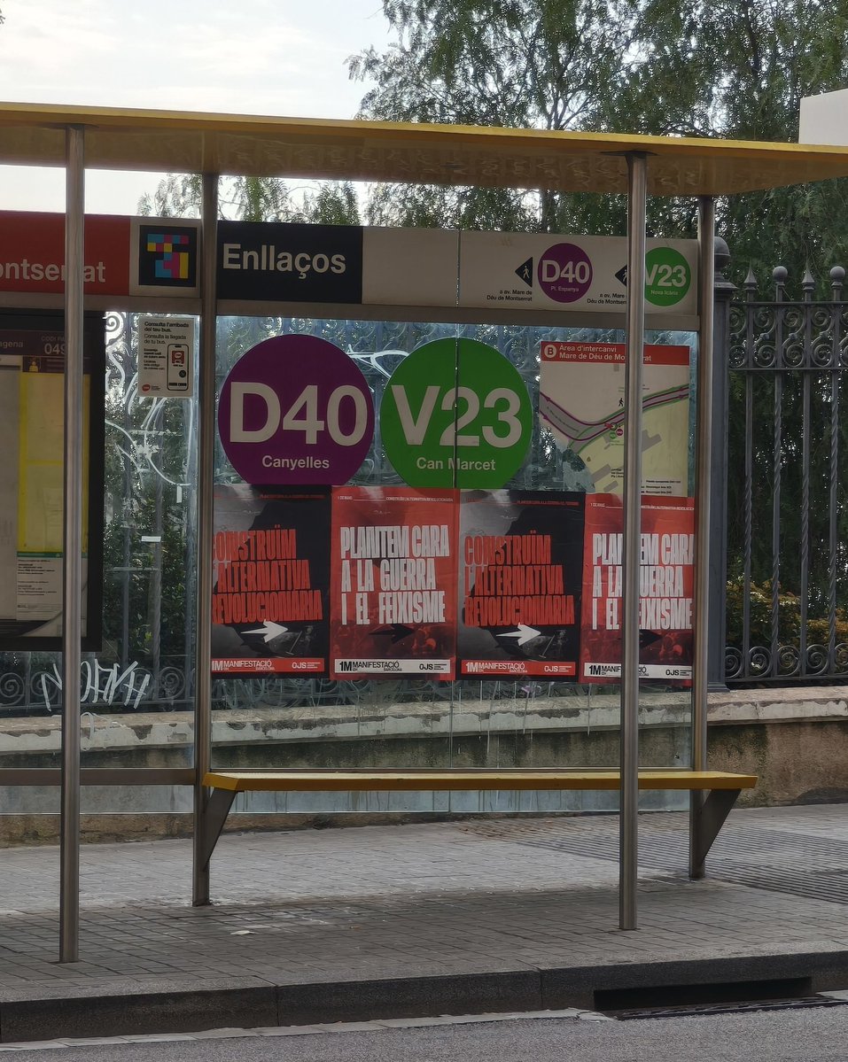 ᴇᴍʙʀᴀɴᴢɪᴅᴀ🇵🇸 tweet media