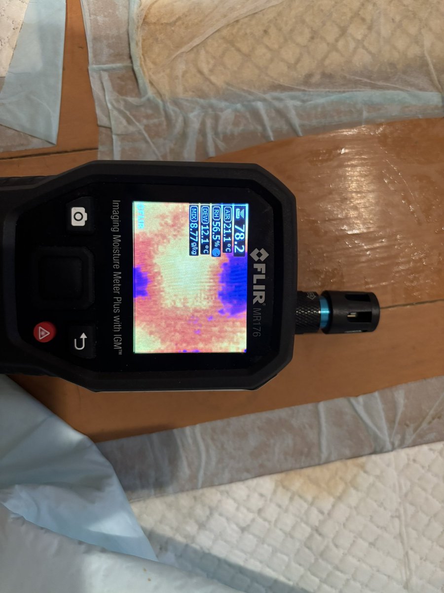 ぽんこつ🐶 tweet media