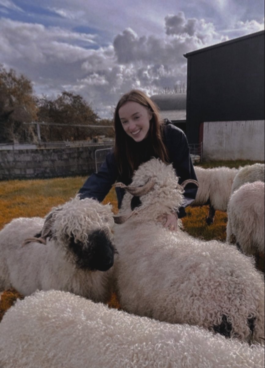 ⁫　⁫　⁫ ⁎ 𝑠ℎ𝑎𝑟𝑚𝑎 , ⁫ ⁫ ⁫ ⁫ ⁫ ⁫ ⁫ ⁫ ⁫ ⁫ ⁫ ⁫ tweet media