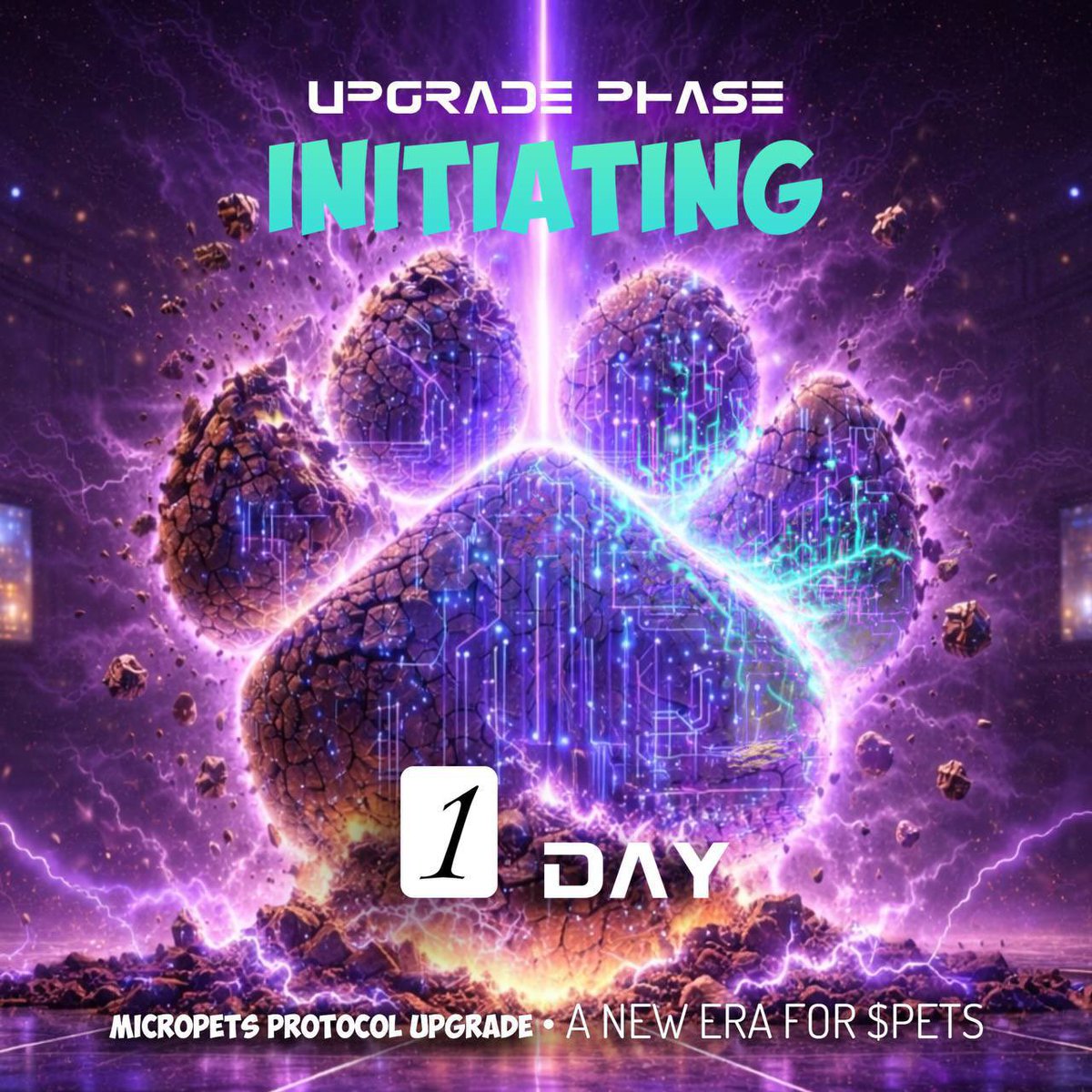 MicroPets 🐶 tweet media