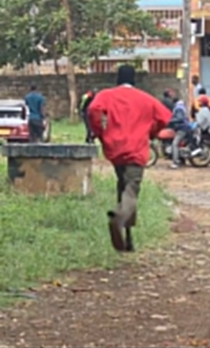 Adfeyandy☮️ tweet media