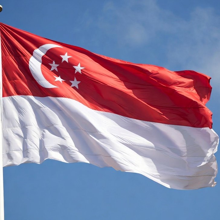 XRP CAPTAIN tweet media