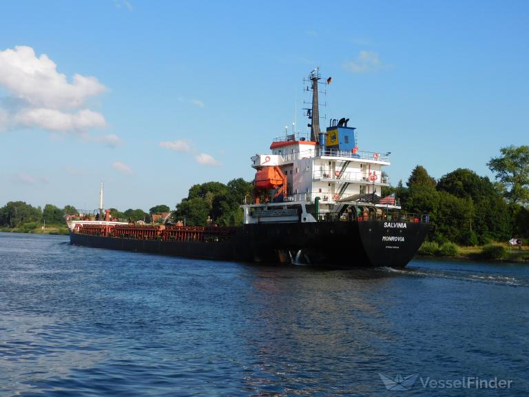 İrkutsk gemisi, işgal altındaki Mariupol'de 8.000 tondan fazla buğday yükledi ve şu anda Mısır'a doğru ilerliyor. Bu bilgi, Barış Yapıcılar Merkezi'nin Deniz Suçları projesinin gazetecisi Kateryna Yaresko tarafından Facebook'ta paylaşıldı.

İrkutsk (eski adı Alfa M, IMO: 9419084)