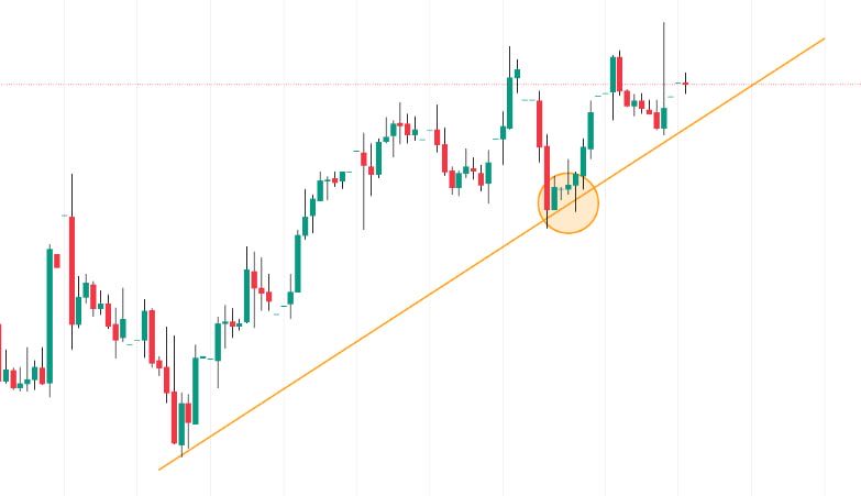 YENİ GÖZBEBEĞİM GELDİ ✅

👉2 AY VADE
👉%70 BEKLENTİ

SADECE BEĞENİ VE RT BIRAKANLARA GÖNDERECEĞİM❤️