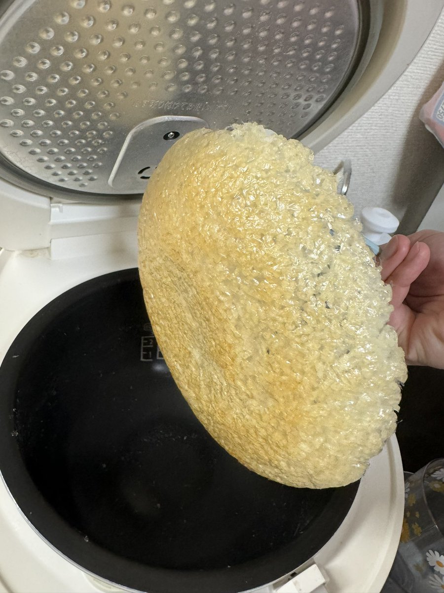 krcshingo's tweet photo. 普通に米炊いただけなのに何これ
子供が食べる分のご飯はどうにかなったけど自分の分が1口分くらいしか残らなかった、、、
有識者の方意見求む https://t.co/QG8ZgLwADi