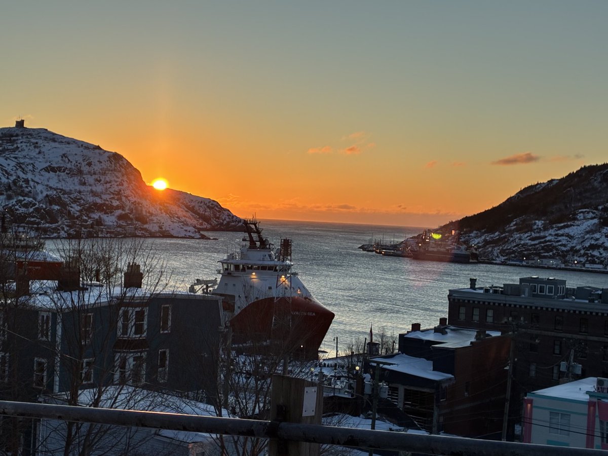 Francesca Swann tweet media