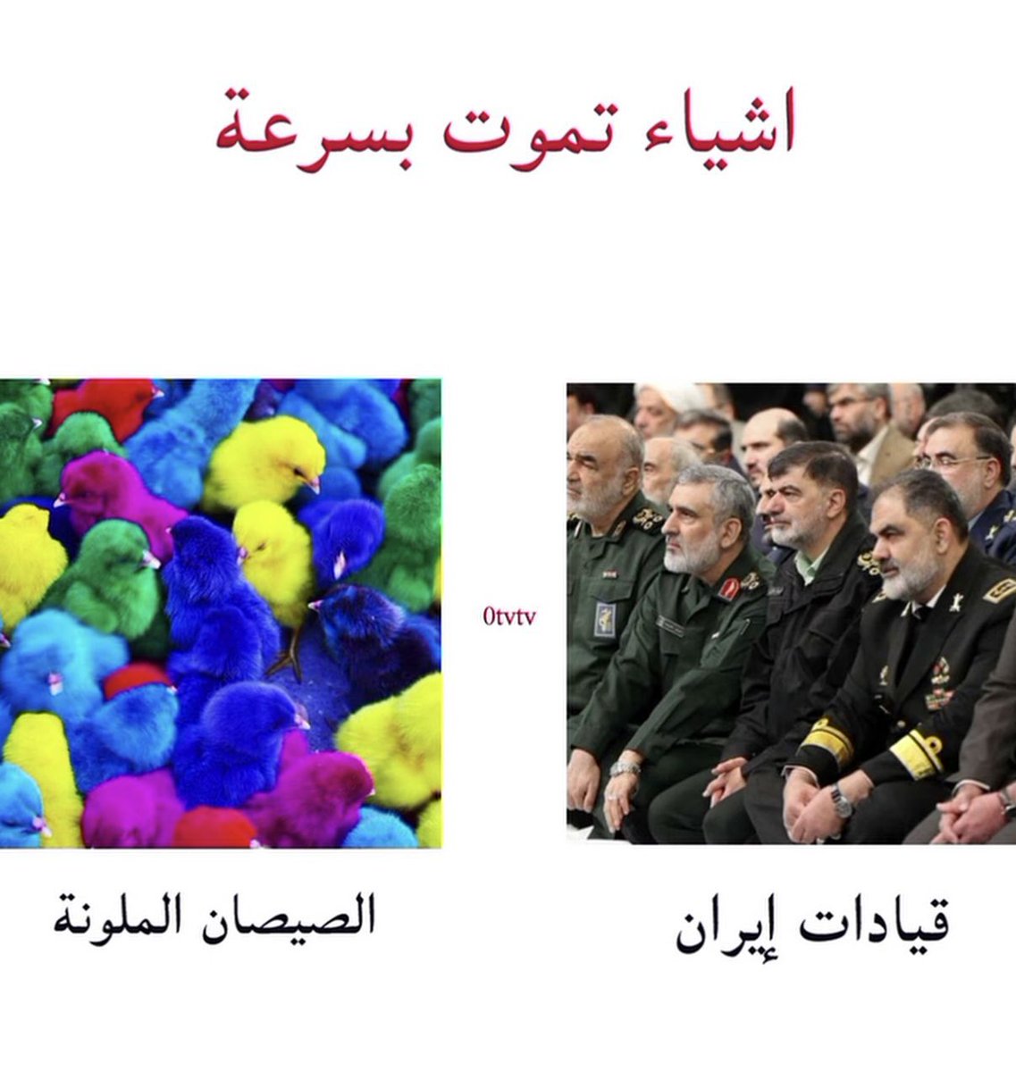 𝓐𝓫𝓭𝓾𝓵 𝓜𝓑𝓨 ♞ tweet media