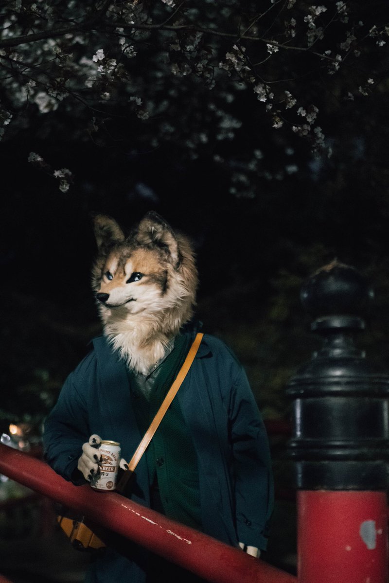 アンバー / Amber tweet media