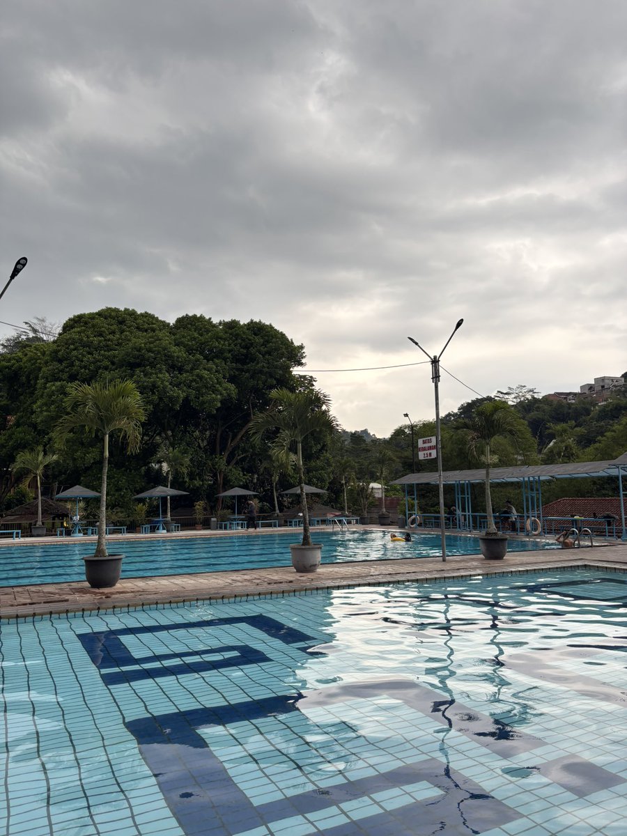 creativey tweet media