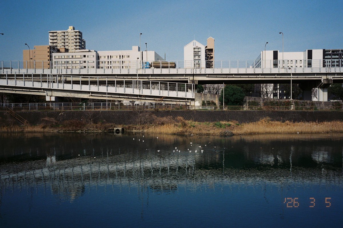 しんべえ tweet media