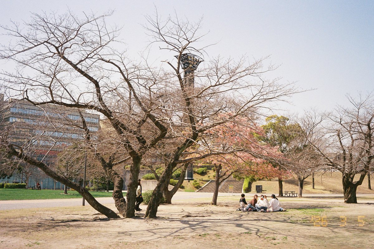 しんべえ tweet media