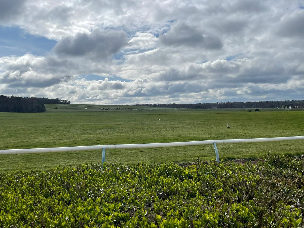 Lizard Bets tweet media