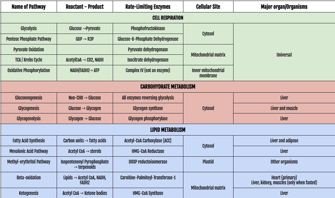 aly frph❤ tweet media