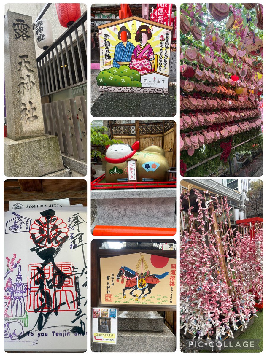 maco@プロカあり tweet media