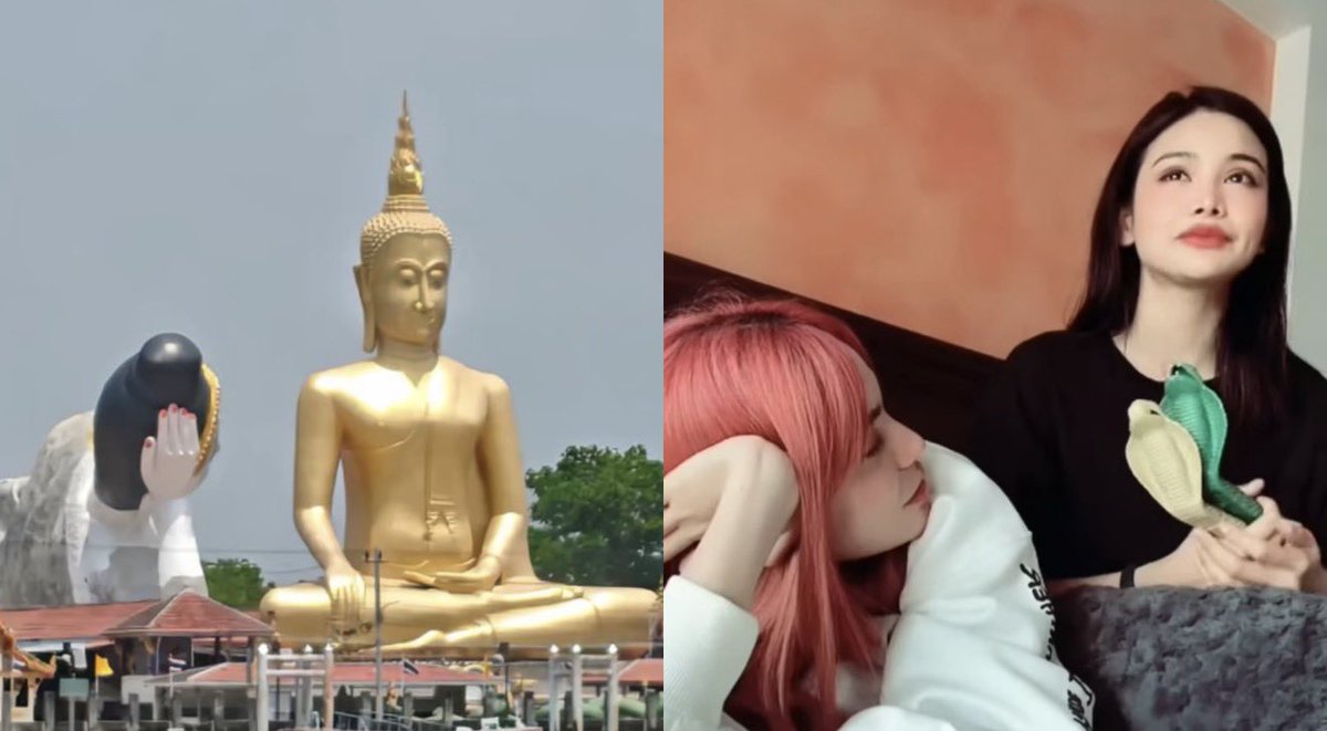 seayousmile 🤓 tweet media