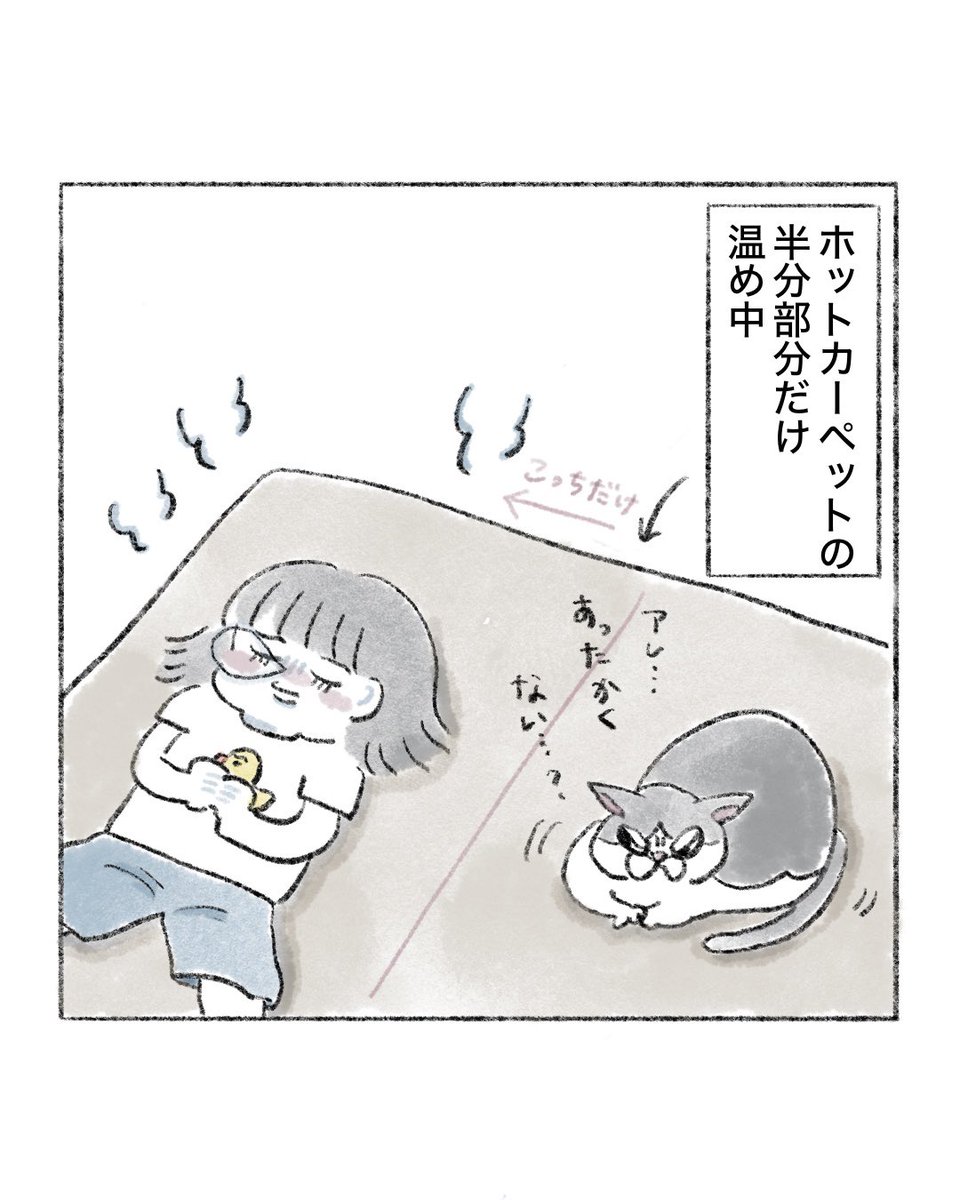 のなか海　書籍発売😽 tweet media